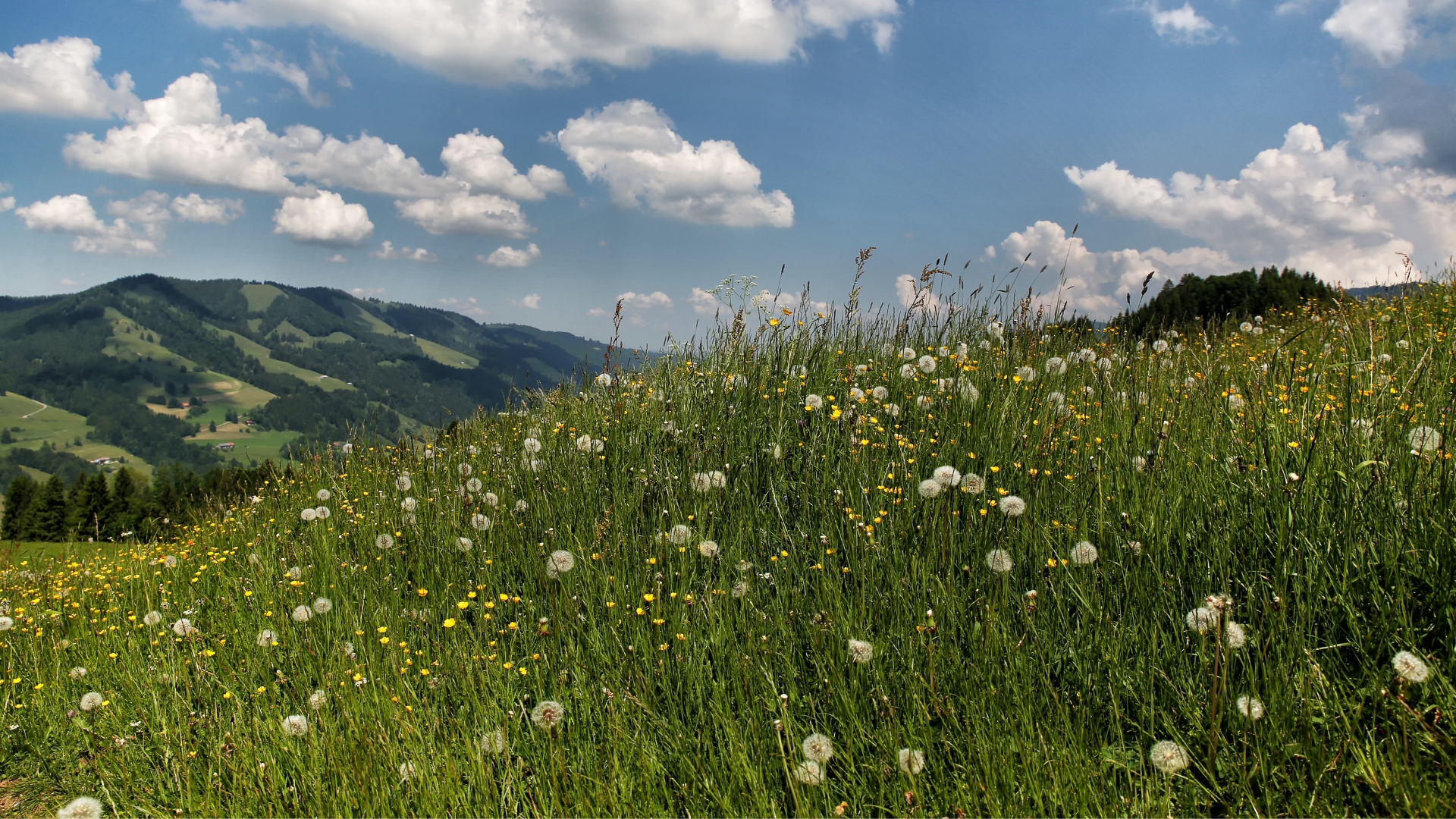 Königshof Hotel Resort | Bild 20