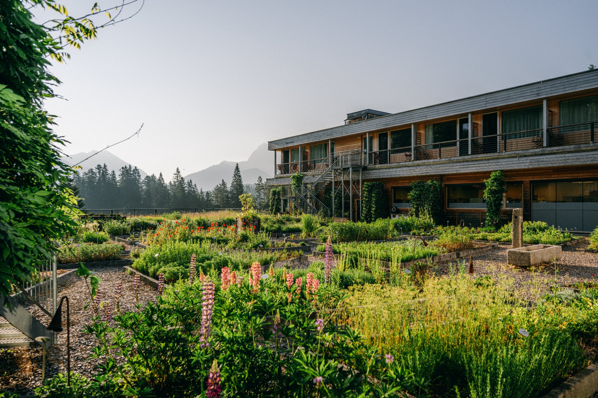 »DAS KRANZBACH« Hotel & Wellness-Refugium | Bild 35