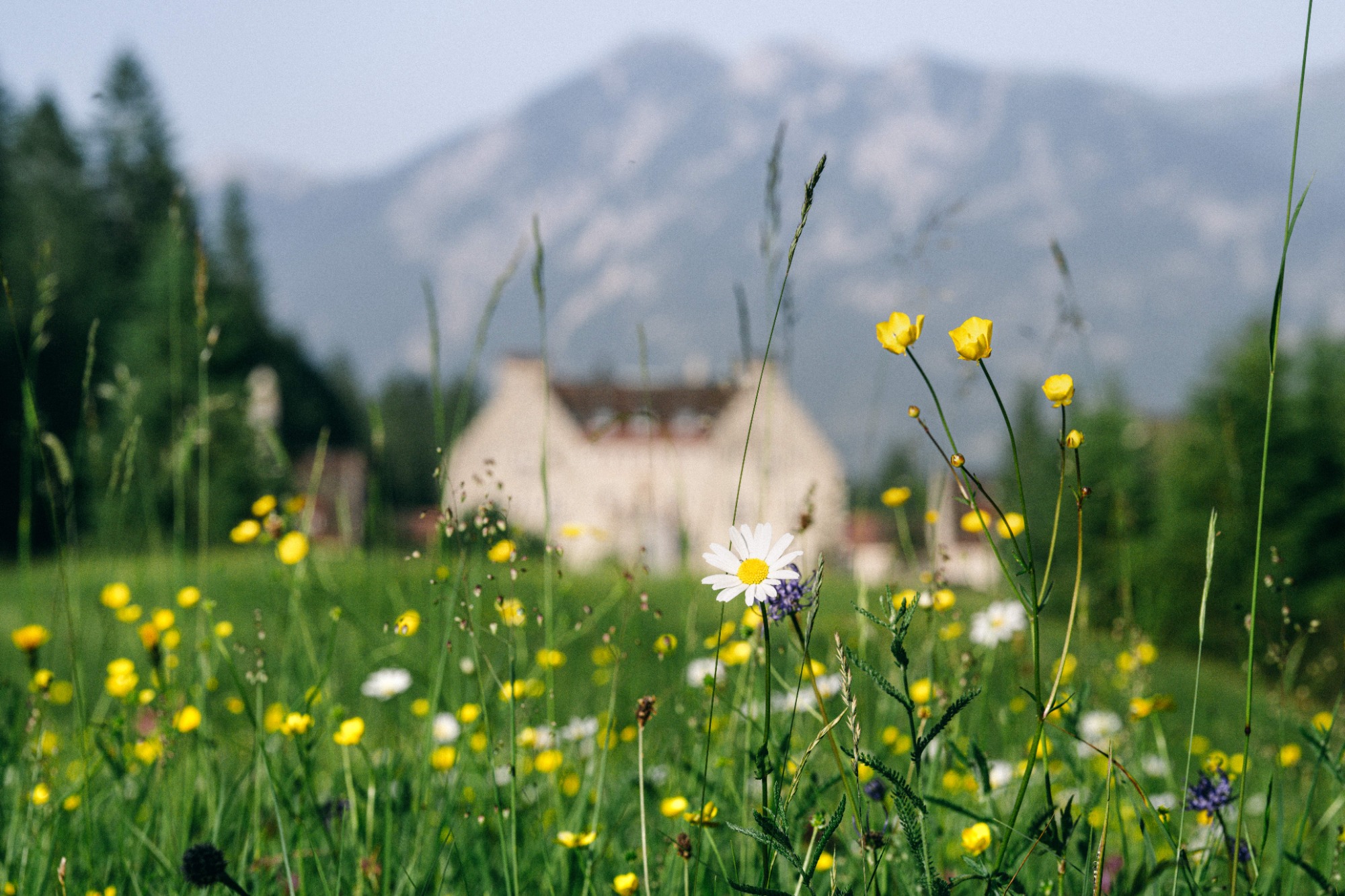 »DAS KRANZBACH« Hotel & Wellness-Refugium Bilder | Bild 6