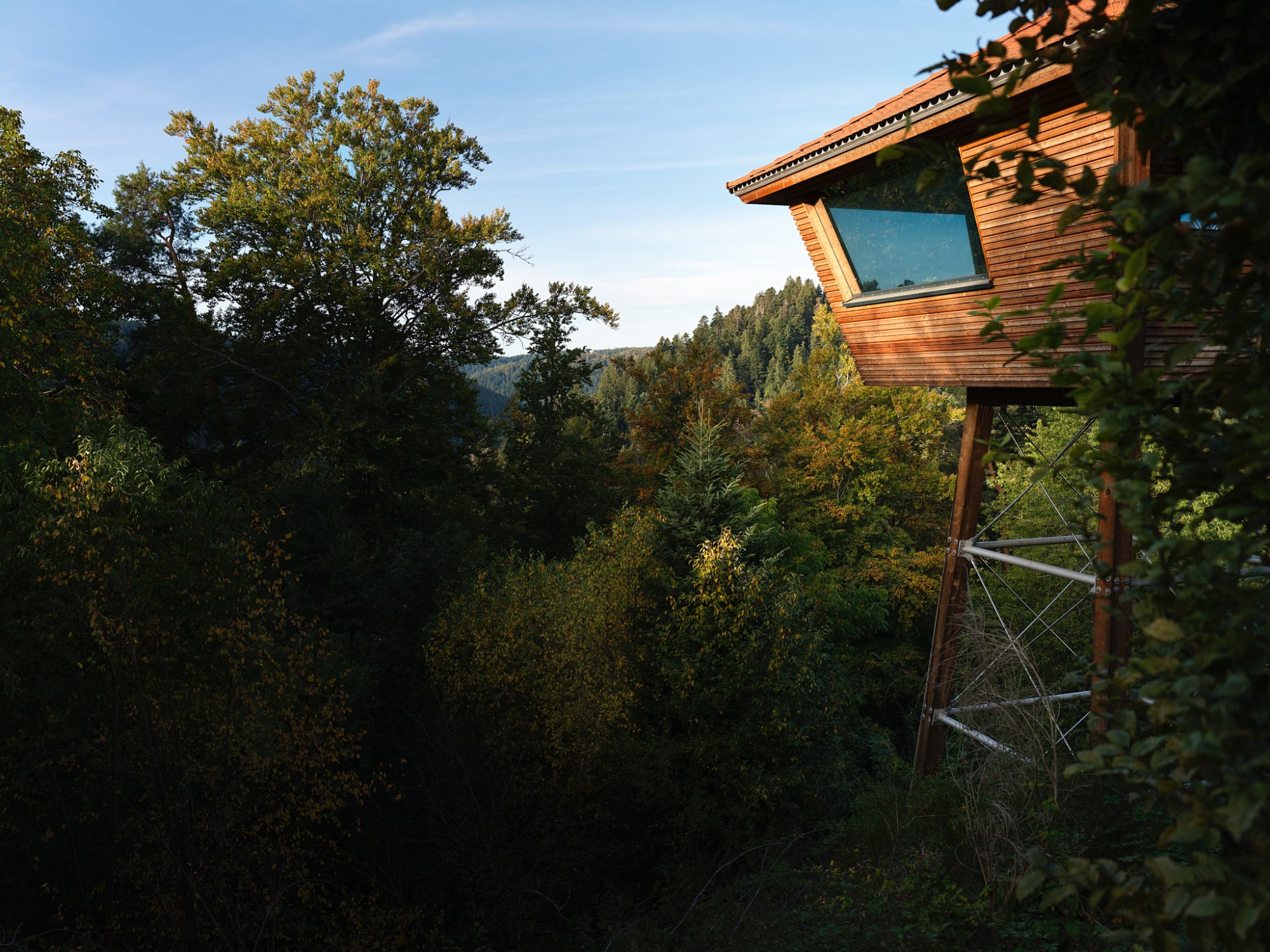 Hotel Kronelamm im Schwarzwald | Bild 2