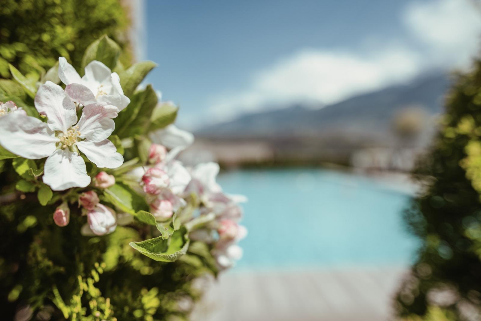 La Maiena Meran Resort Bilder | Bild 15