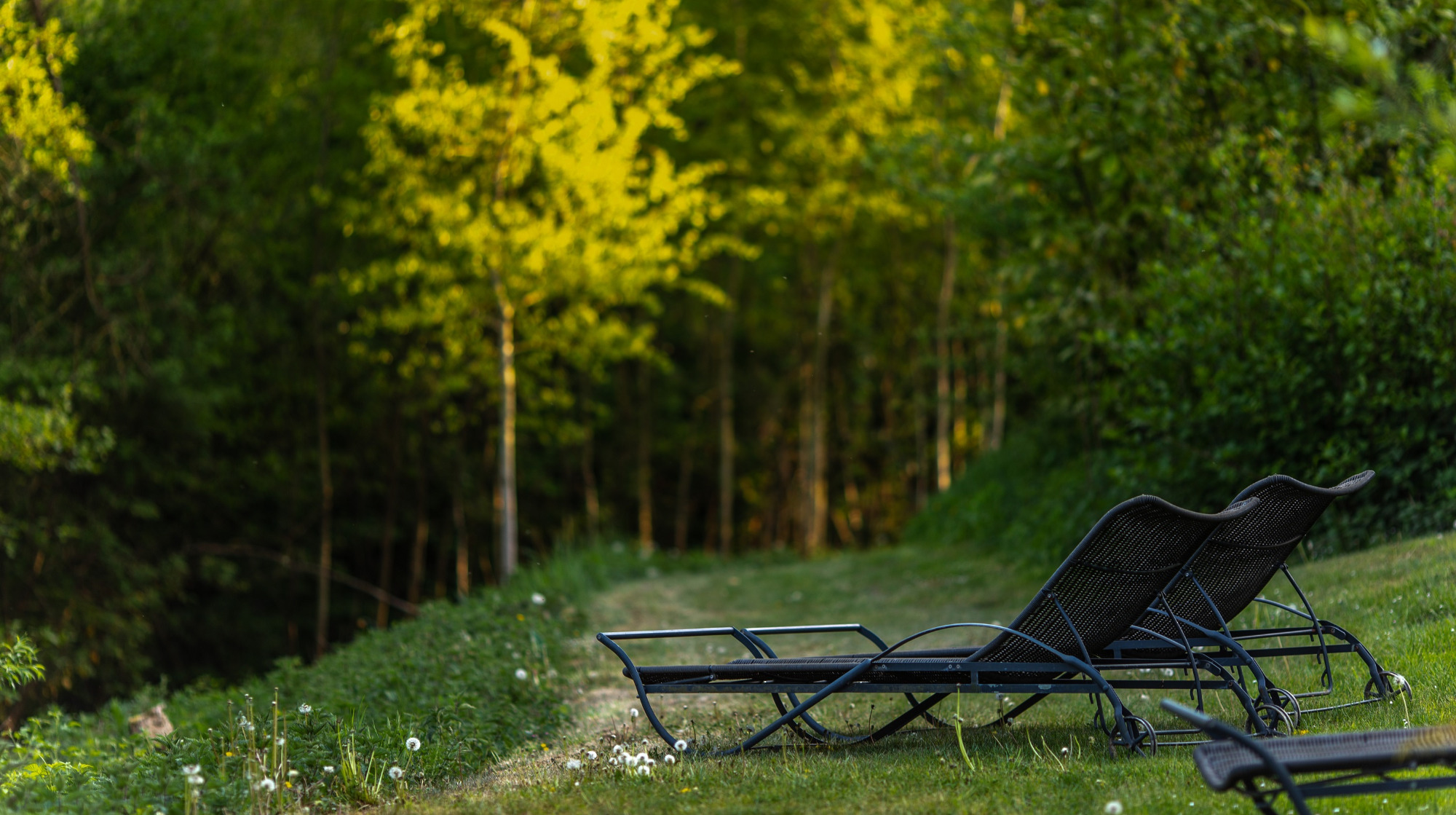 Bio-Hotel Land Gut Höhne | Bild 38