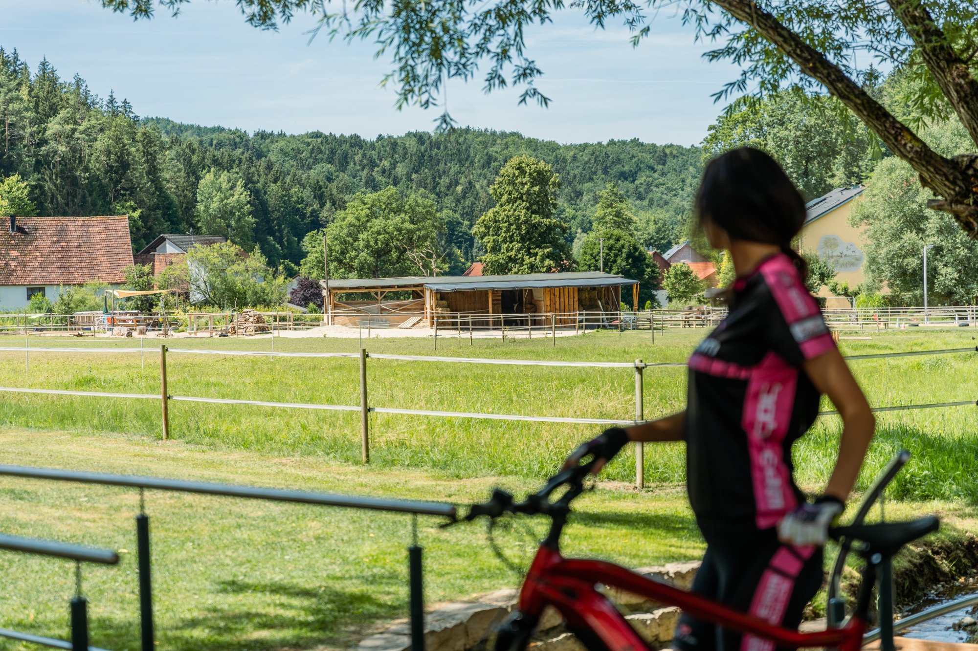 Landhotel Sternwirt - Das Wellnesshotel zwischen Nürnberg und Amberg | Bild 65