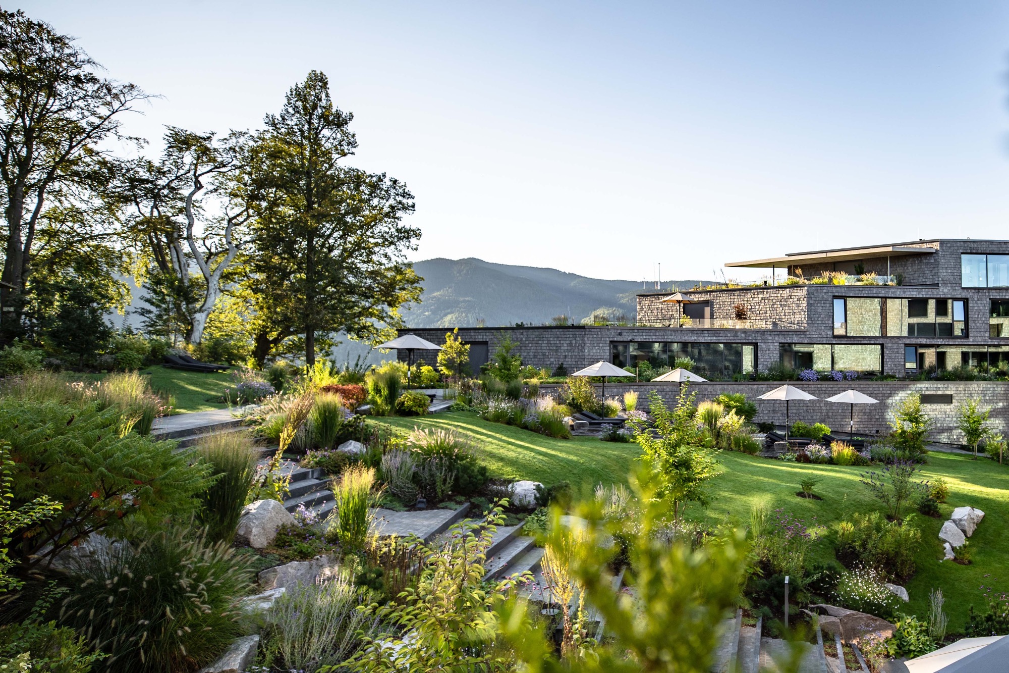 Luisenhöhe - Gesundheitsresort Schwarzwald | Bild 2