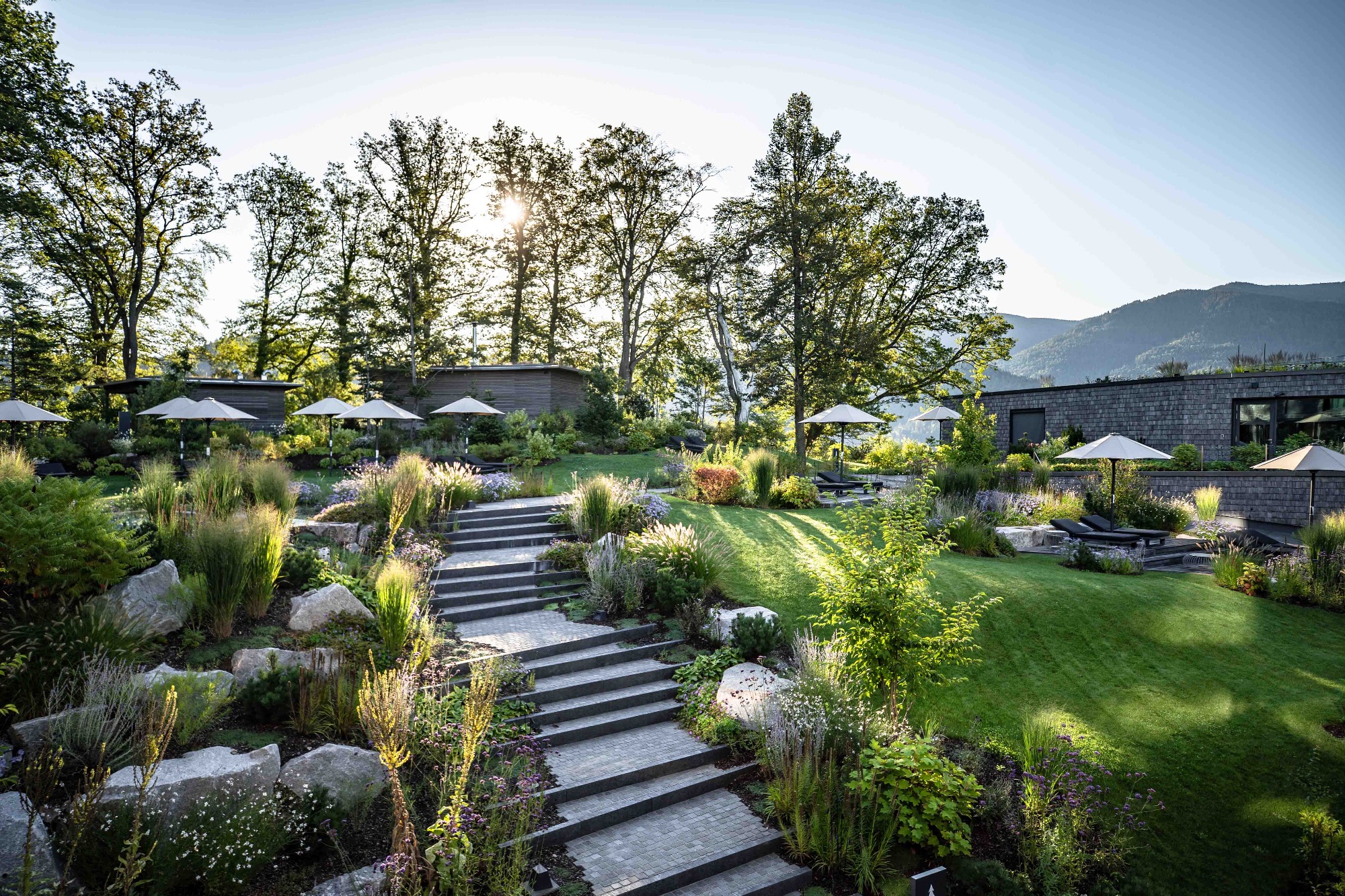 Luisenhöhe - Gesundheitsresort Schwarzwald | Bild 8