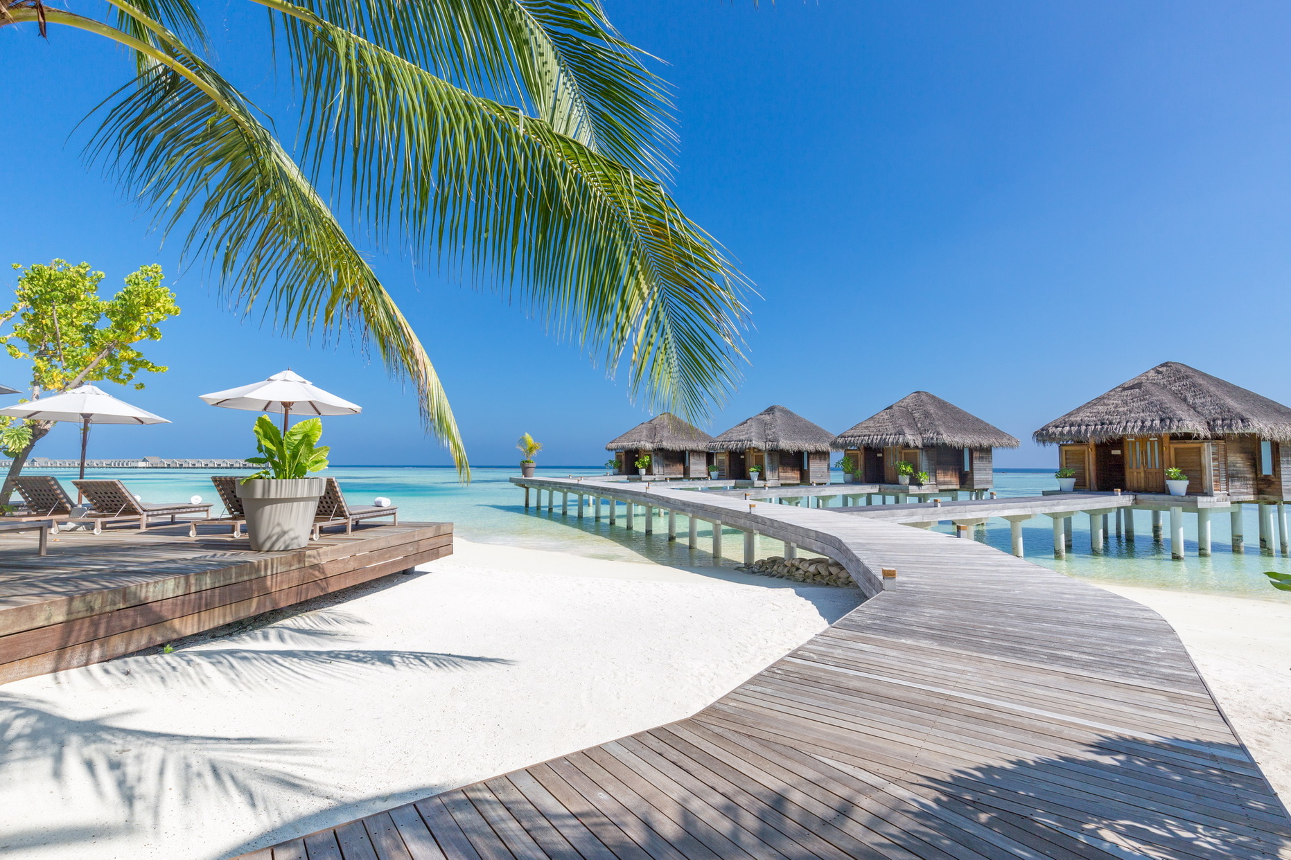 LUX* South Ari Atoll Bilder | Bild 3