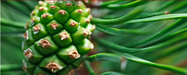 Hotel Monika Bilder | Bild 6