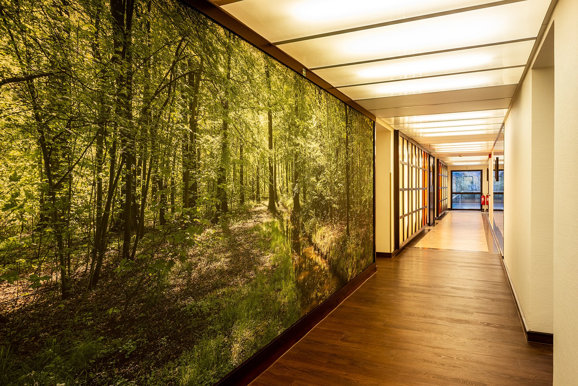 MUNTE - Wellnesshotel am Stadtwald Bilder | Bild 32