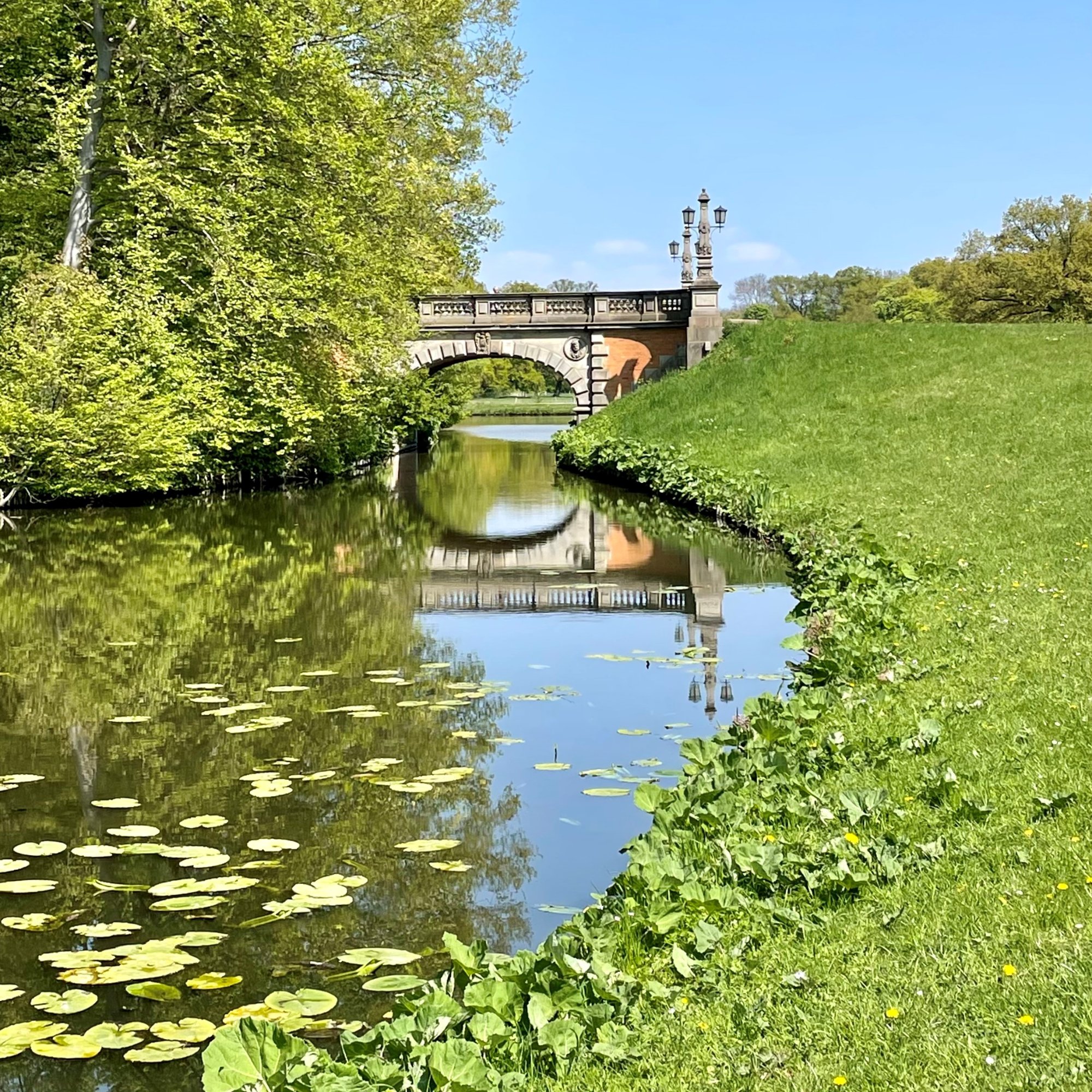 MUNTE - Wellnesshotel am Stadtwald Bilder | Bild 36