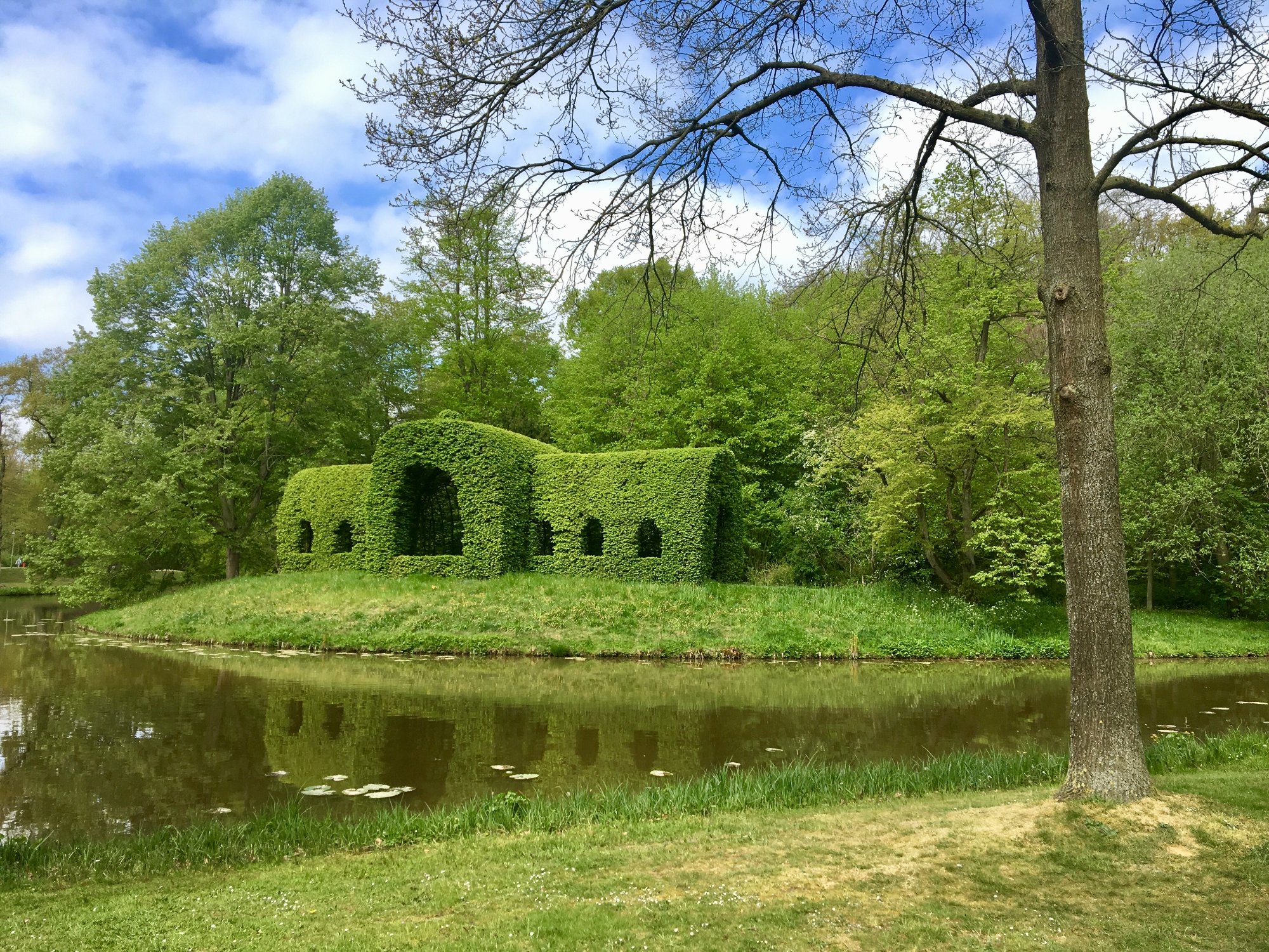 MUNTE - Wellnesshotel am Stadtwald Bilder | Bild 35