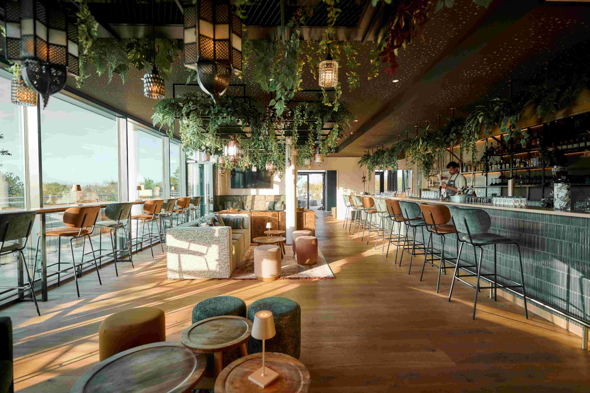 Nouri Bilder | Bild 8