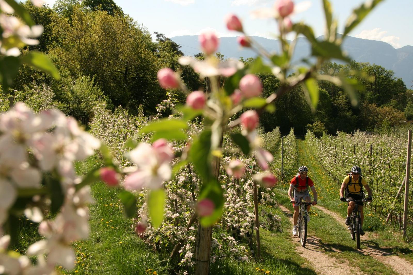Parc Hotel am Kalterer See Bilder | Bild 23