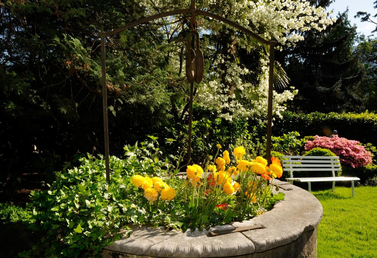 Park Hotel Mignon & SPA Bilder | Bild 19