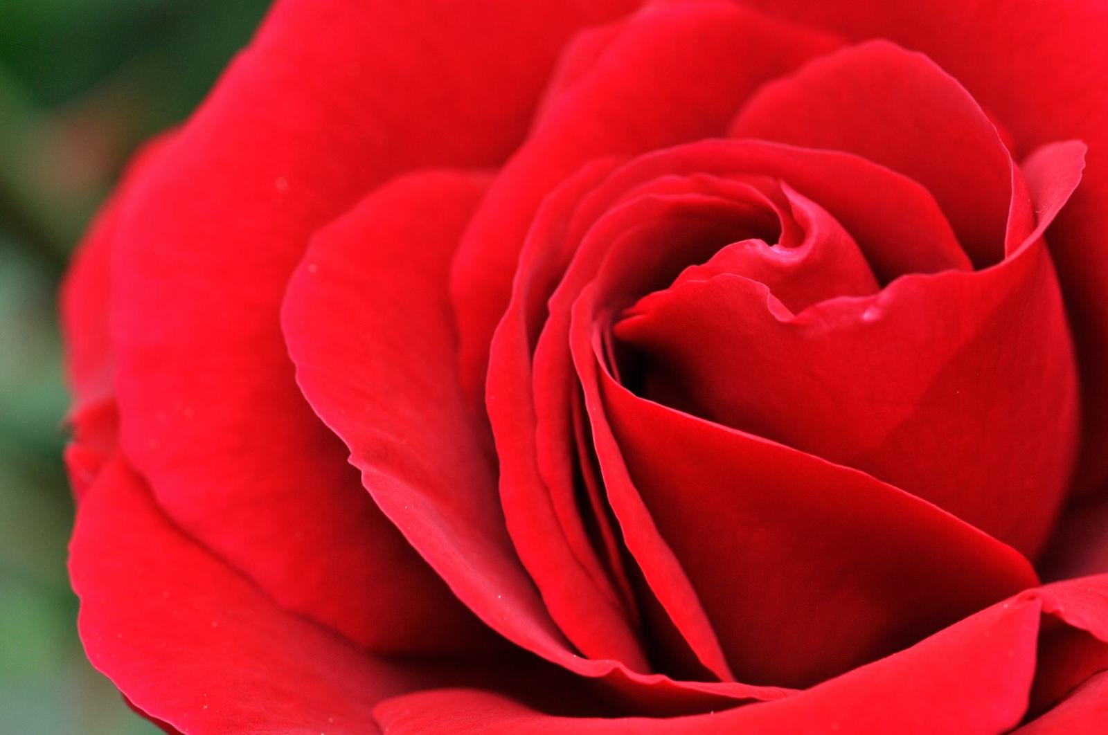 Park Hotel Mignon & SPA Bilder | Bild 26