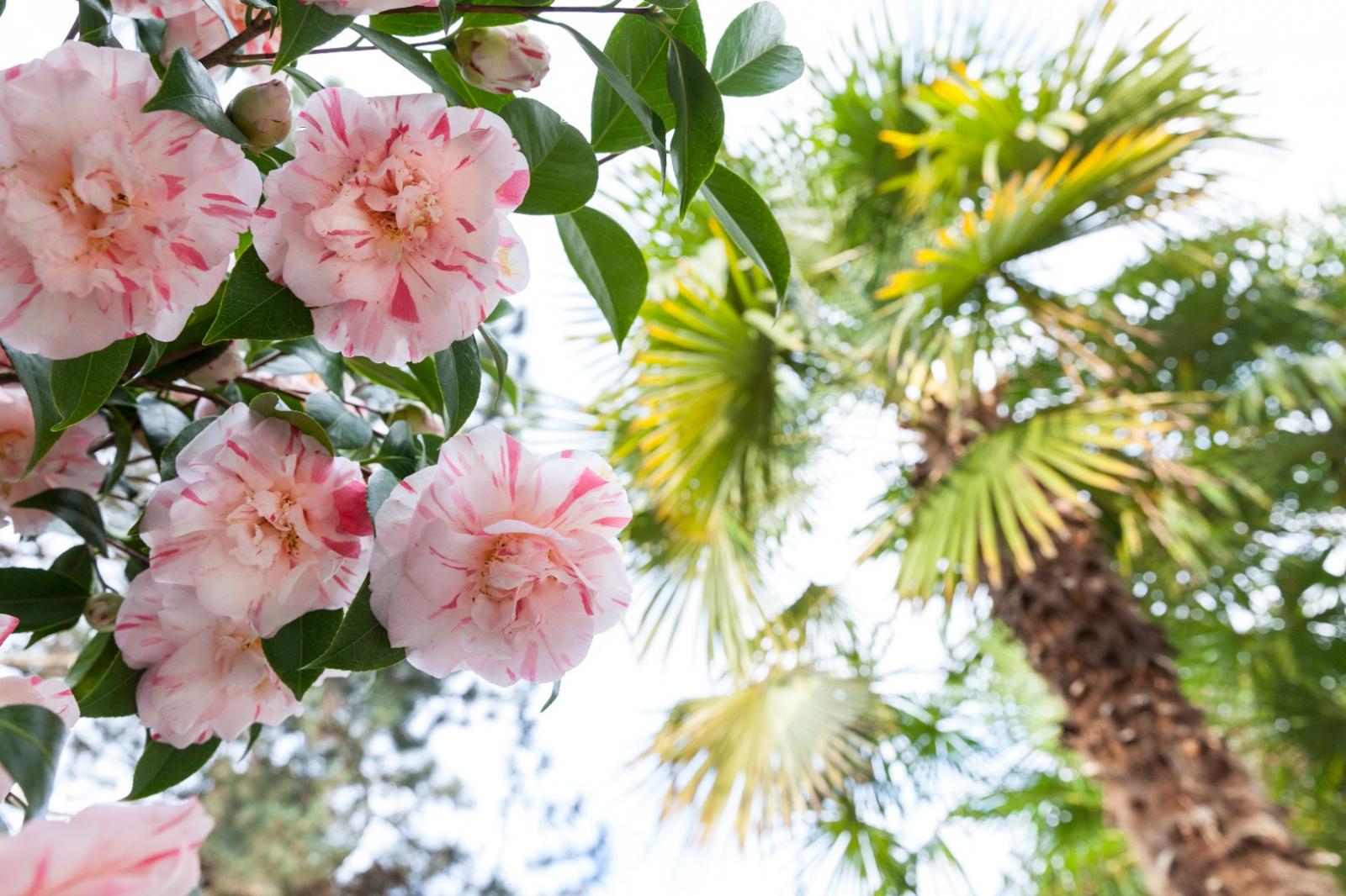 Park Hotel Mignon & SPA Bilder | Bild 13