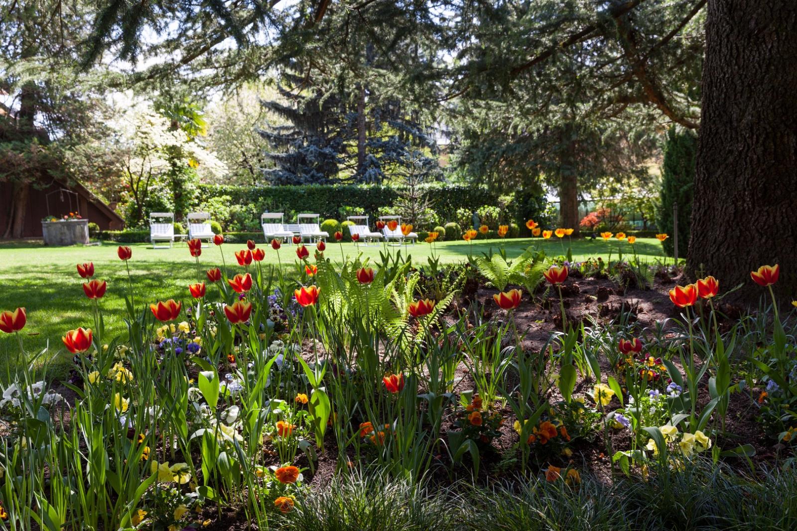 Park Hotel Mignon & SPA Bilder | Bild 34