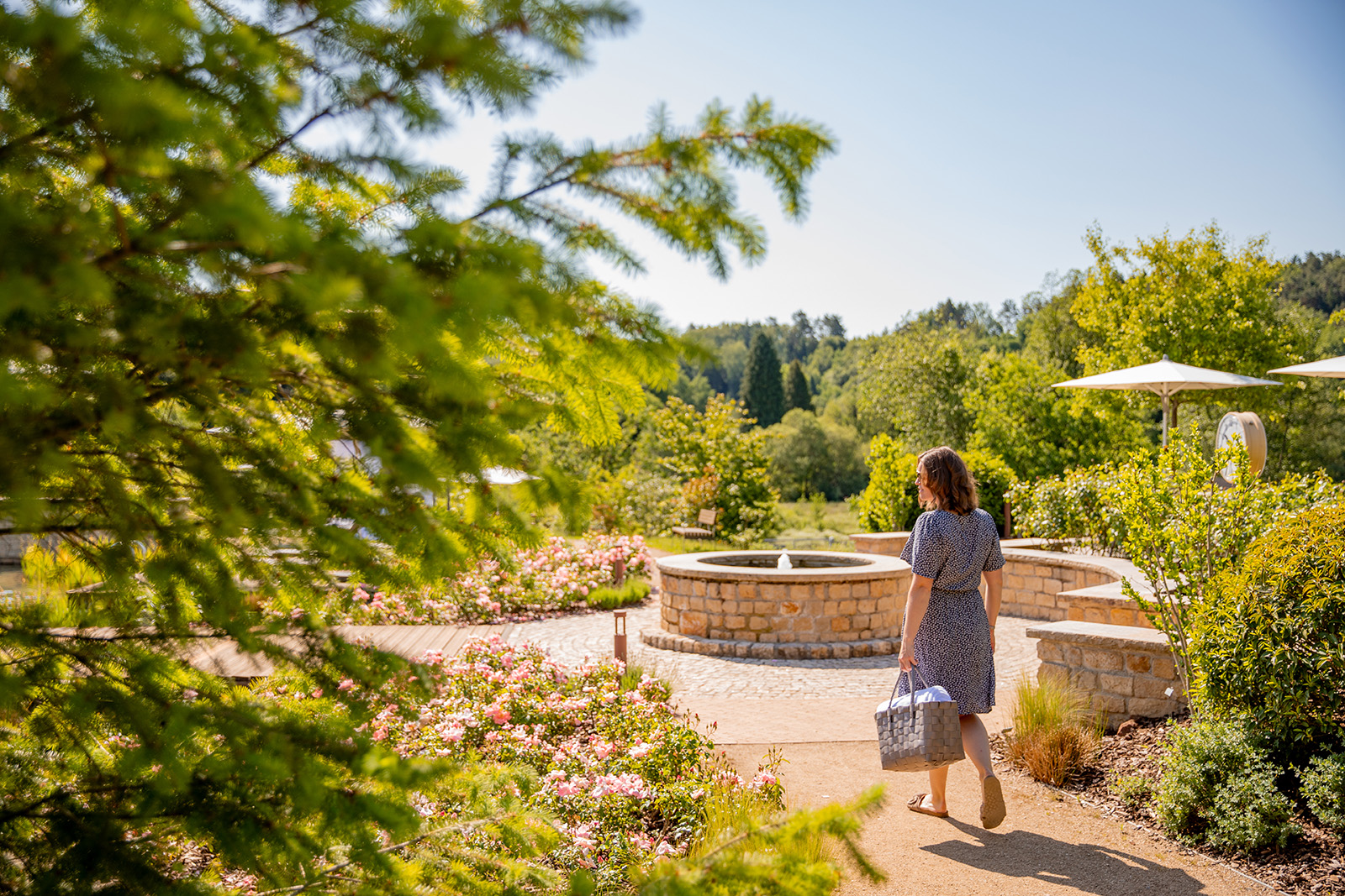 PFALZBLICK WALD SPA RESORT Bilder | Bild 2