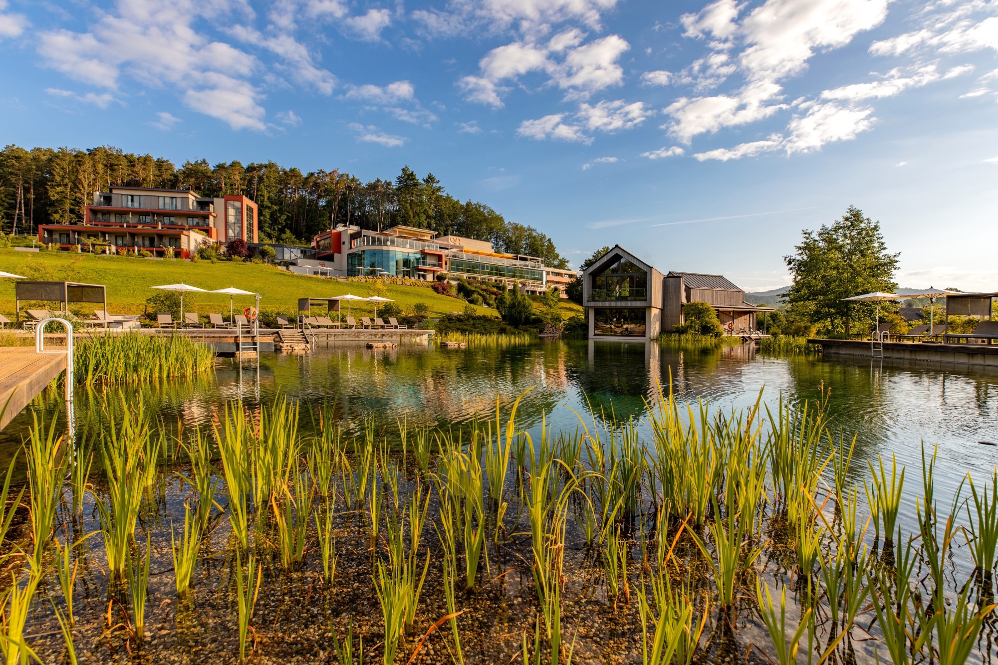 PFALZBLICK WALD SPA RESORT | Bild 20