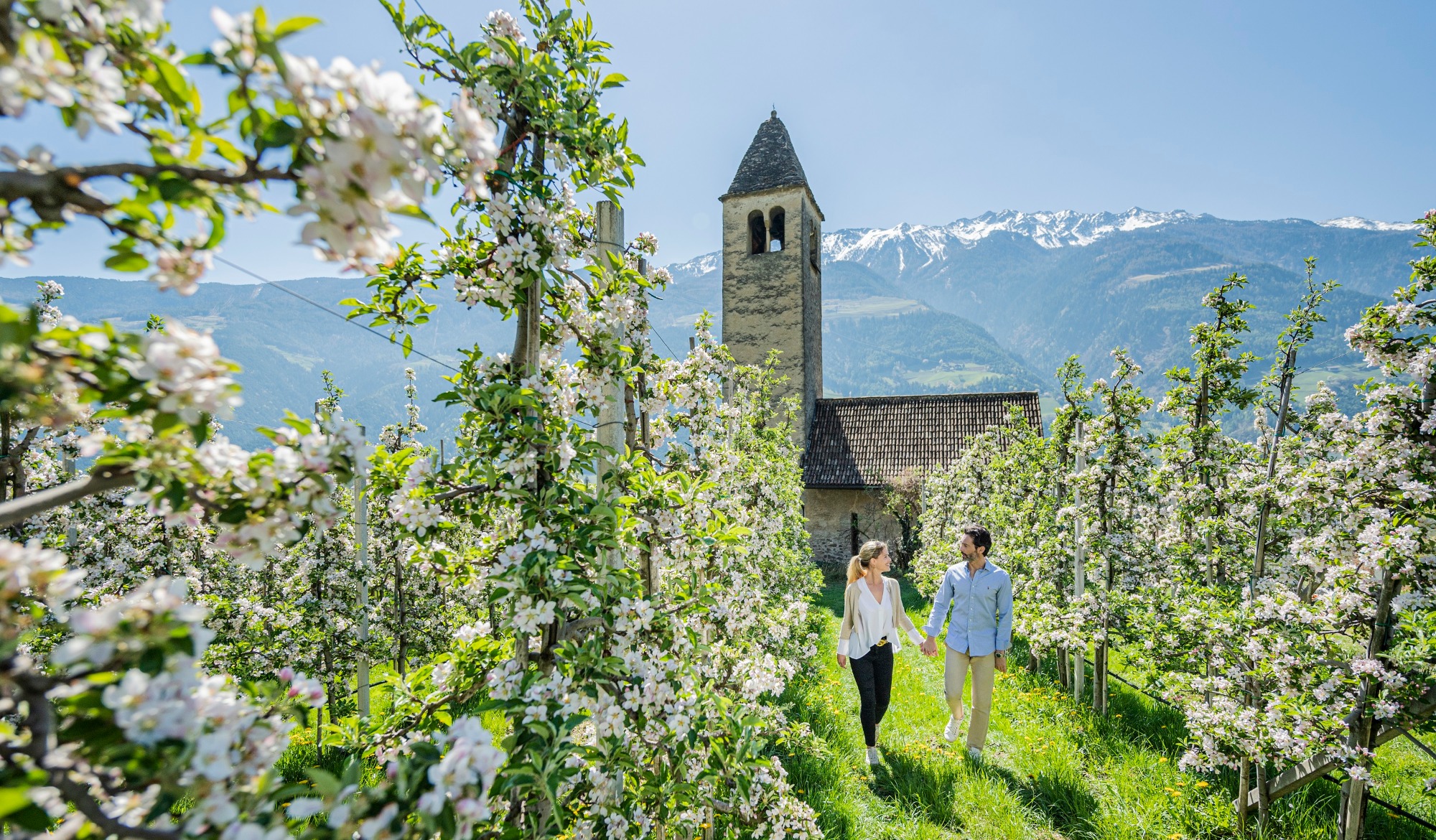 Bild zum Wellness-Angebot Apfelblütenwoche in Südtirol