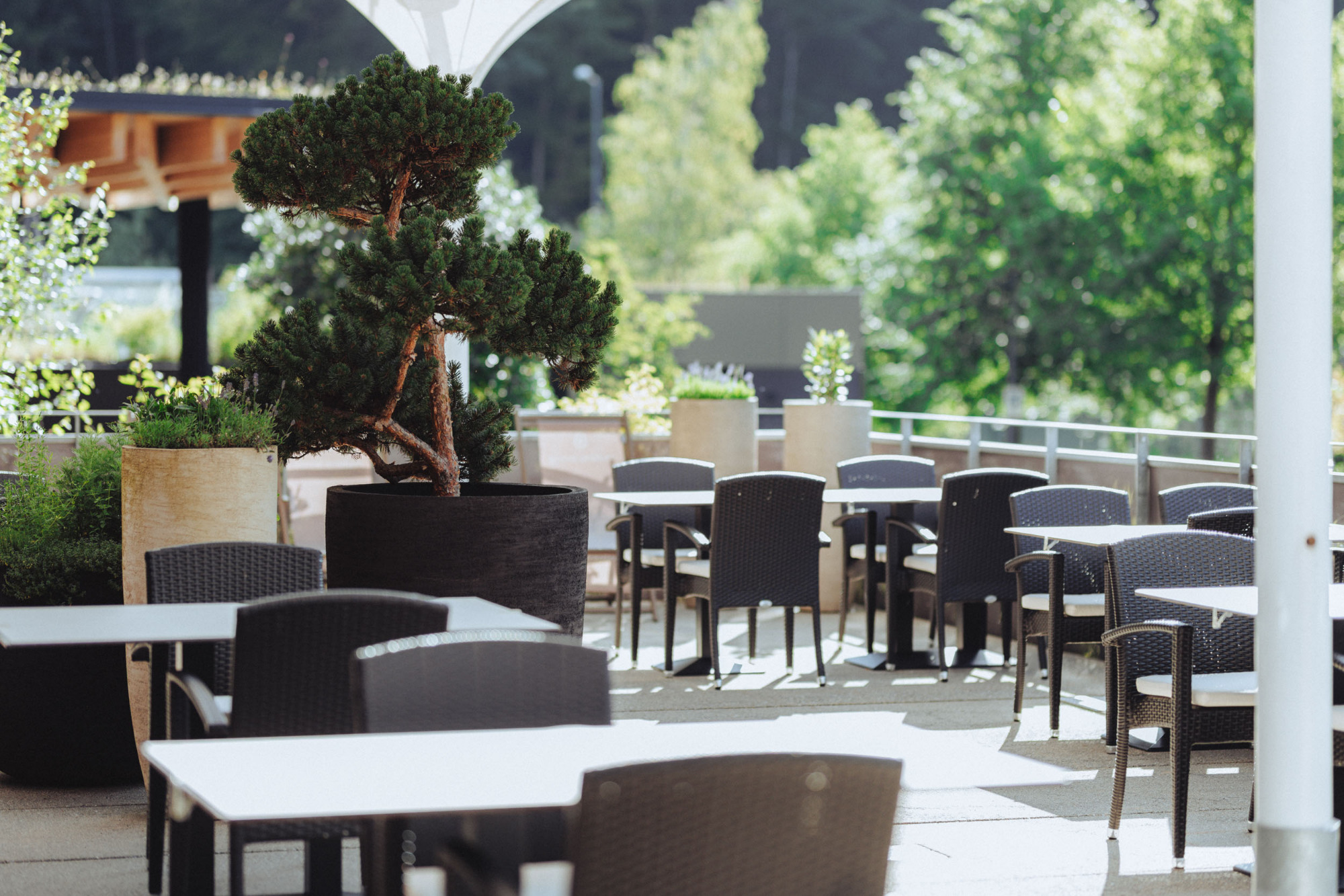 Sonne Mellau - Feel good Hotel | Bild 24