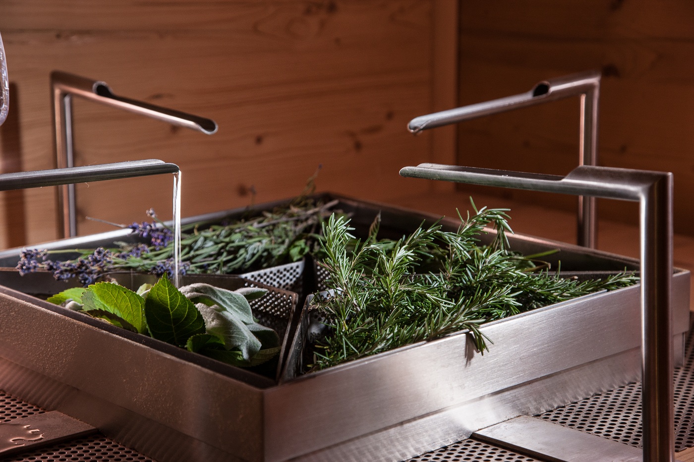 Sonnenhotel Adler Bilder | Bild 13