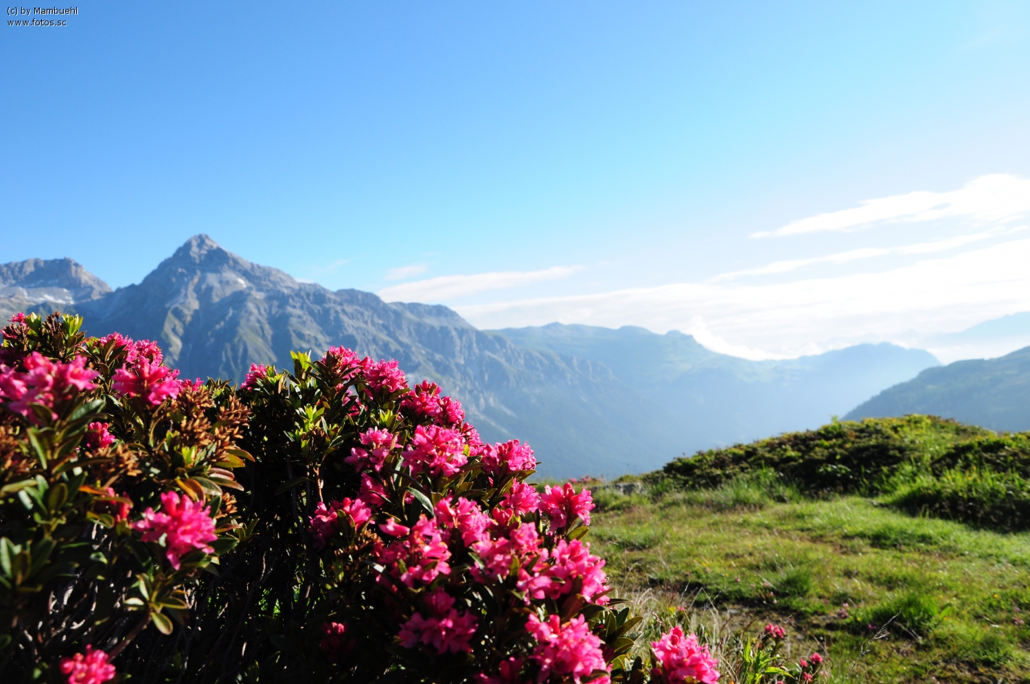 Sonnenhotel Adler Bilder | Bild 48