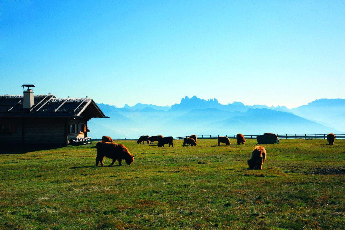 Sonnenhotel Adler Bilder | Bild 35