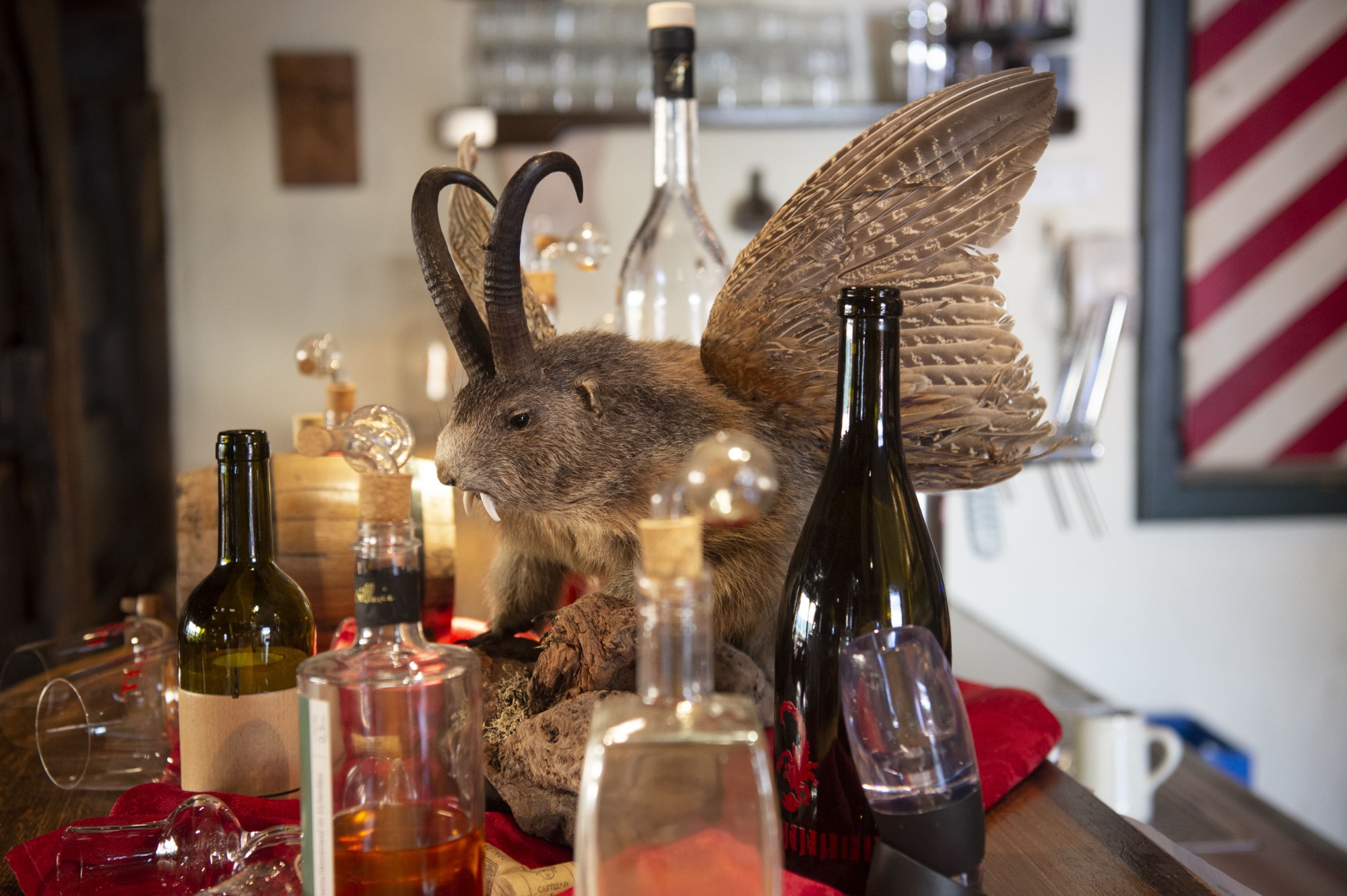 Sporthotel Radstadt | Bild 1