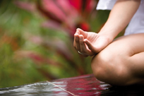 Stefanie Life & Spa Hotel Bilder | Bild 27