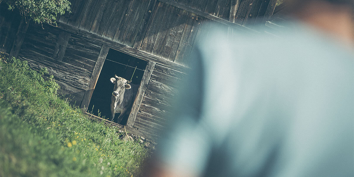 Hotel Terentnerhof Bilder | Bild 49