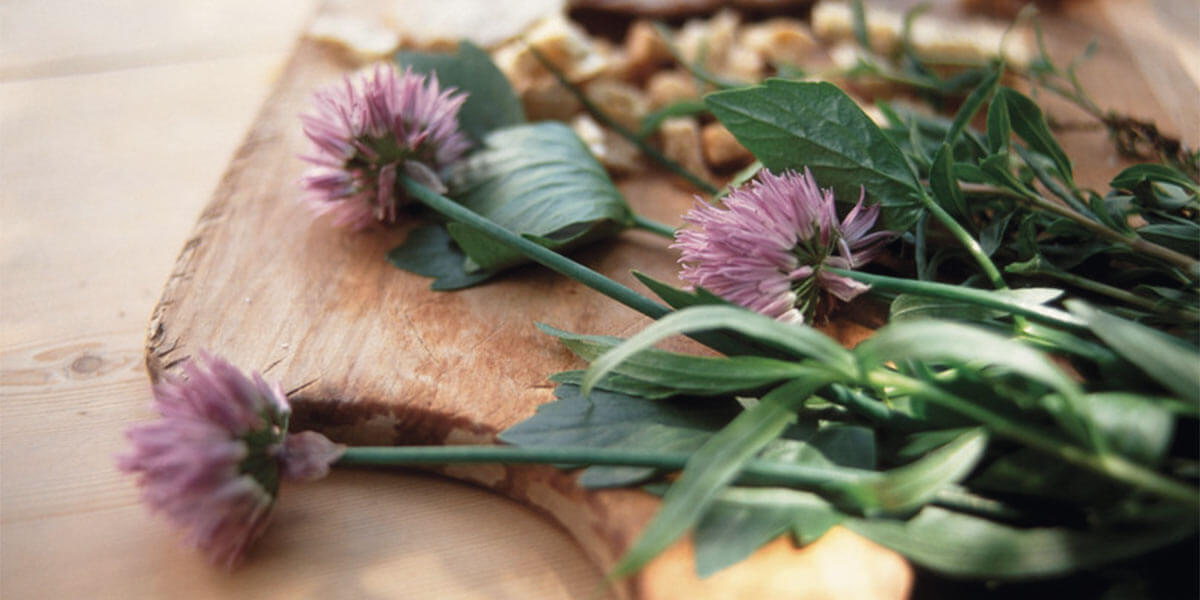 Hotel Terentnerhof Bilder | Bild 55