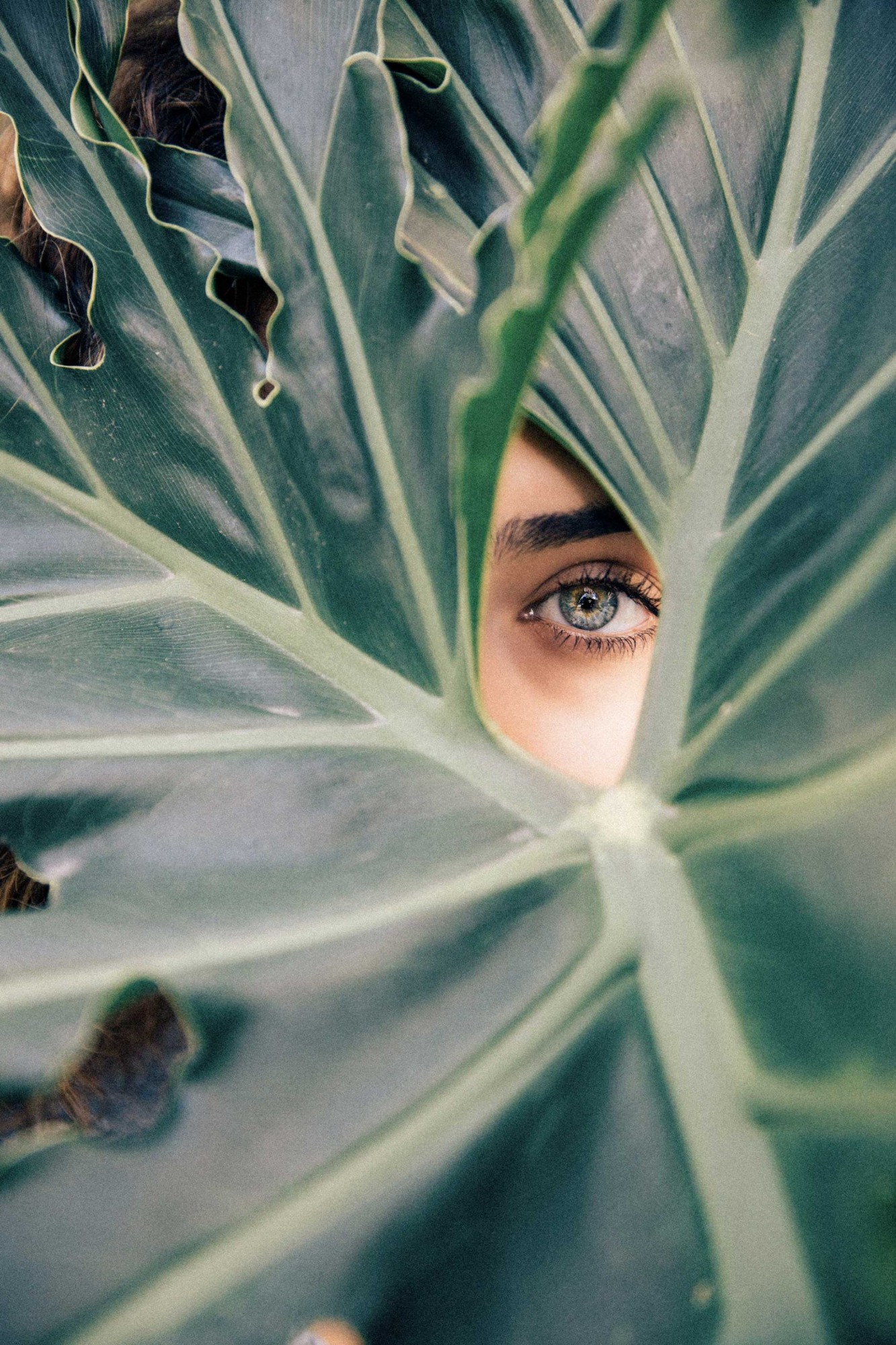 The Reset Hotel Bilder | Bild 58