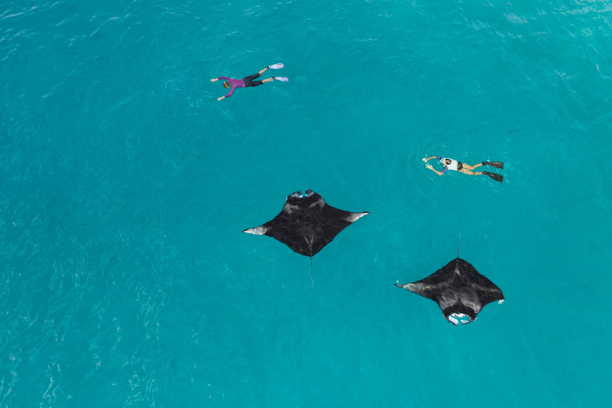The Westin Maldives Miriandhoo Resort Bilder | Bild 39