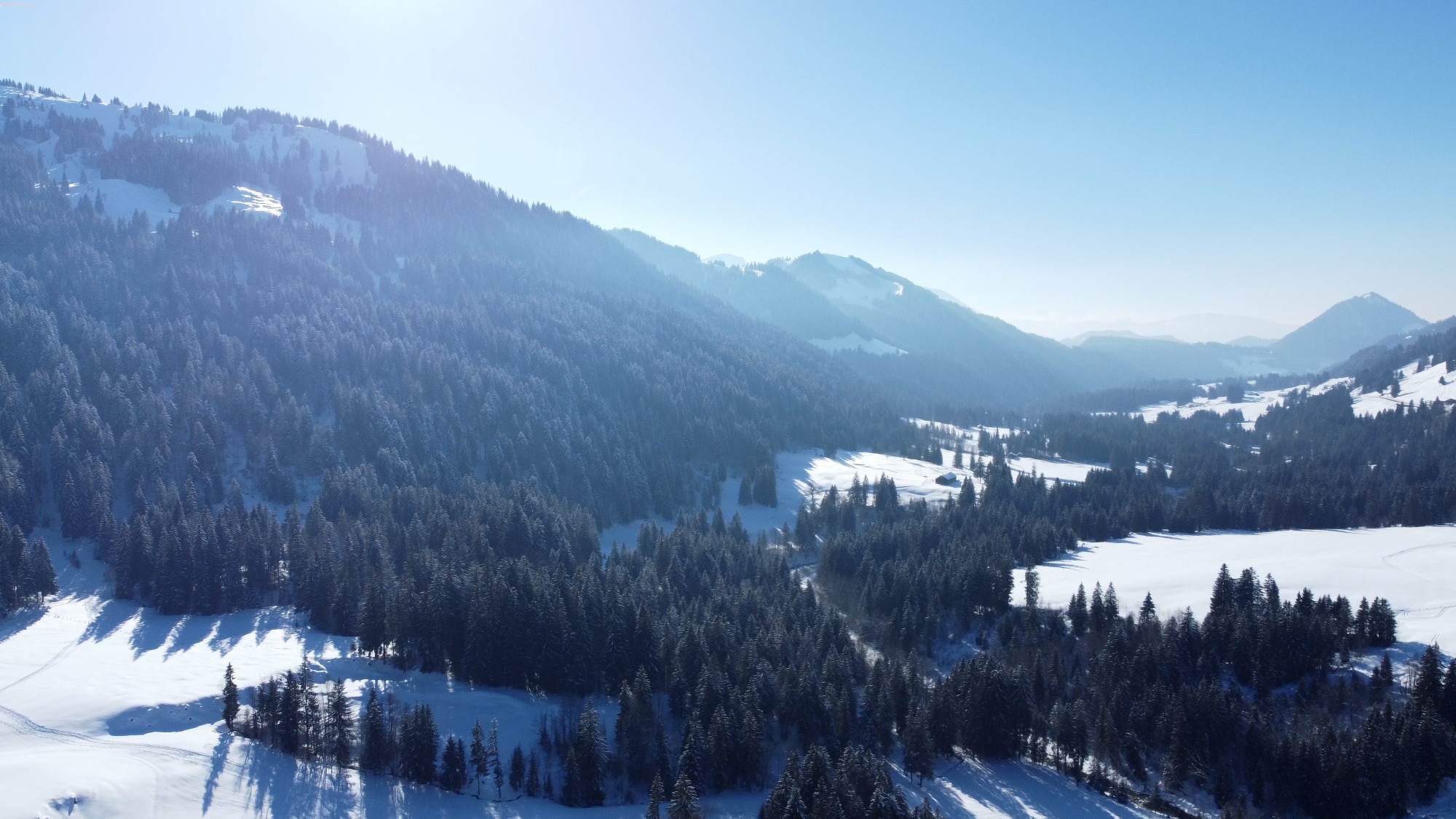 Torghele’s Wald & Fluh | Bild 33