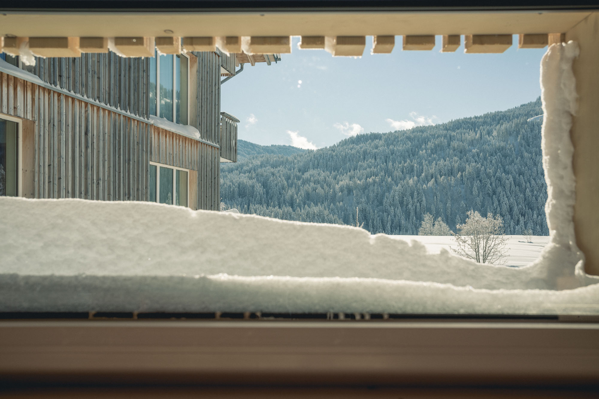 Torghele’s Wald & Fluh | Bild 34