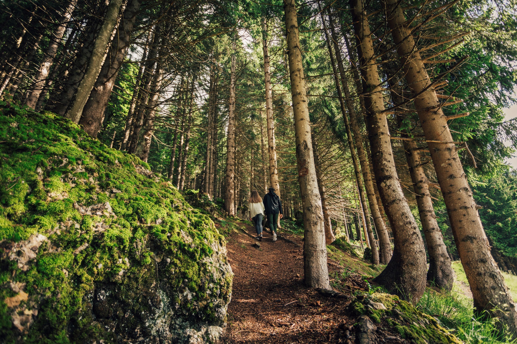 Torghele’s Wald & Fluh | Bild 11