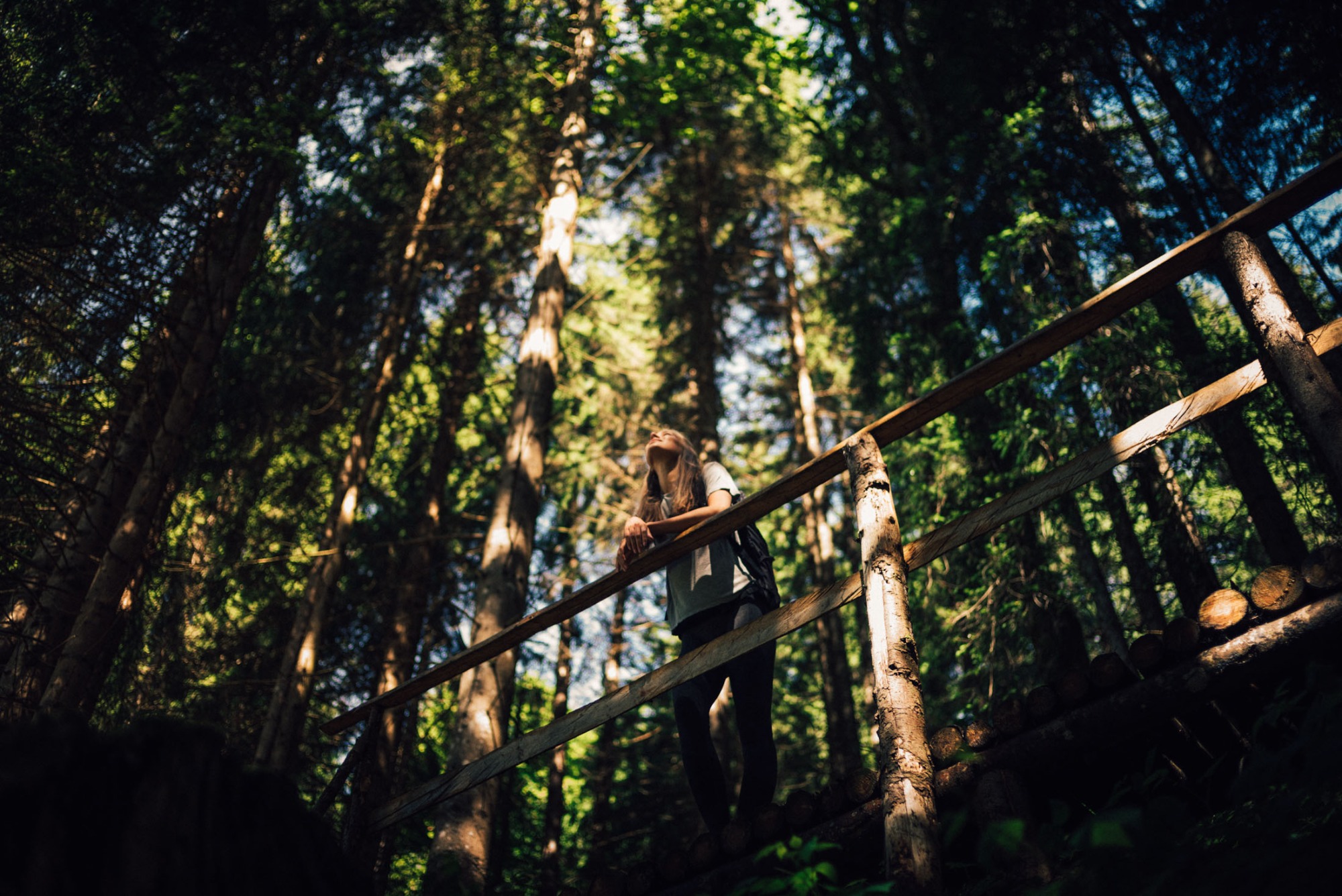 Torghele’s Wald & Fluh | Bild 29