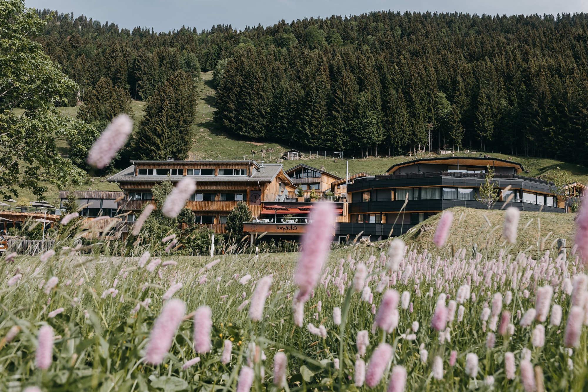 Torghele’s Wald & Fluh | Bild 5