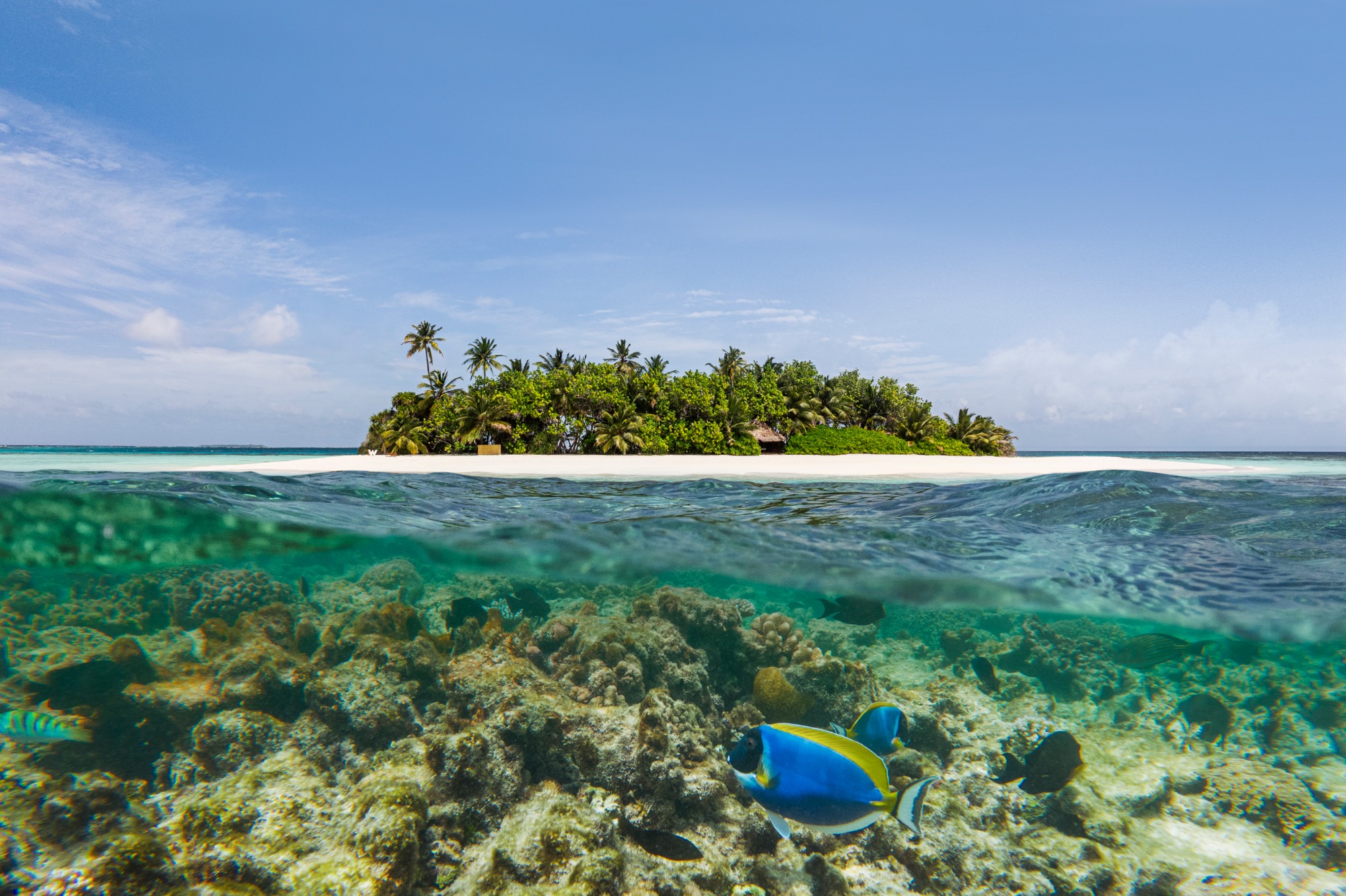 W Maldives Bilder | Bild 69