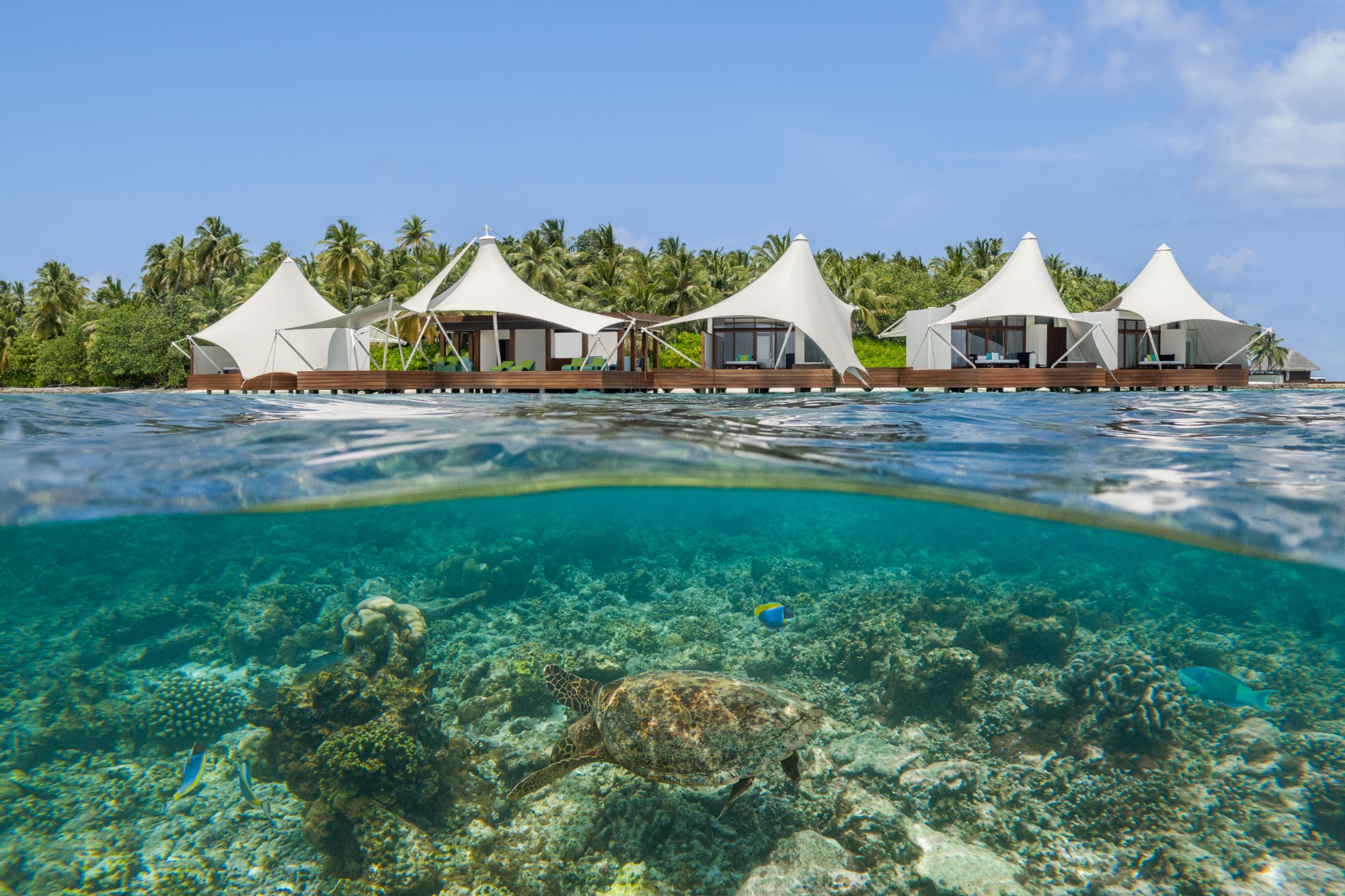 W Maldives Bilder | Bild 5