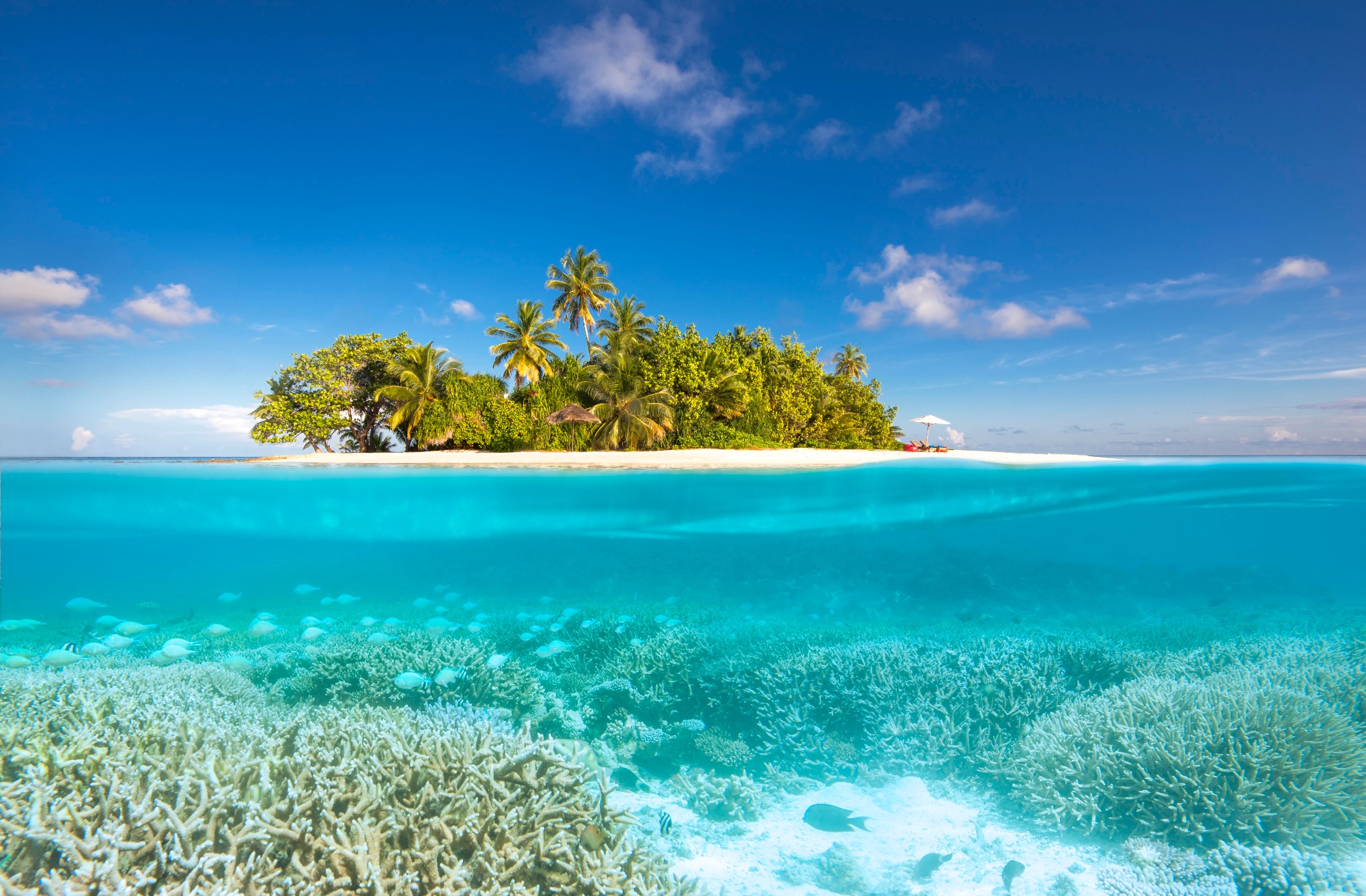 W Maldives Bilder | Bild 69