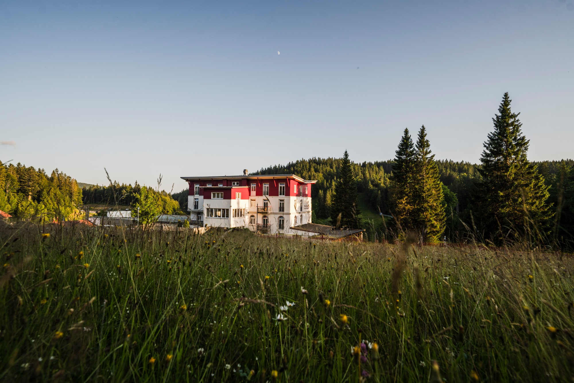****S Waldhotel am Notschreipass | Bild 1
