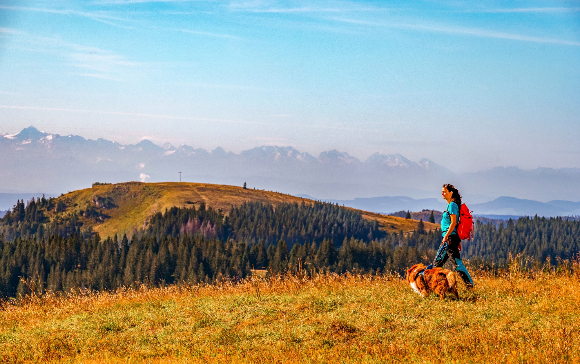 ****S Waldhotel am Notschreipass | Bild 35