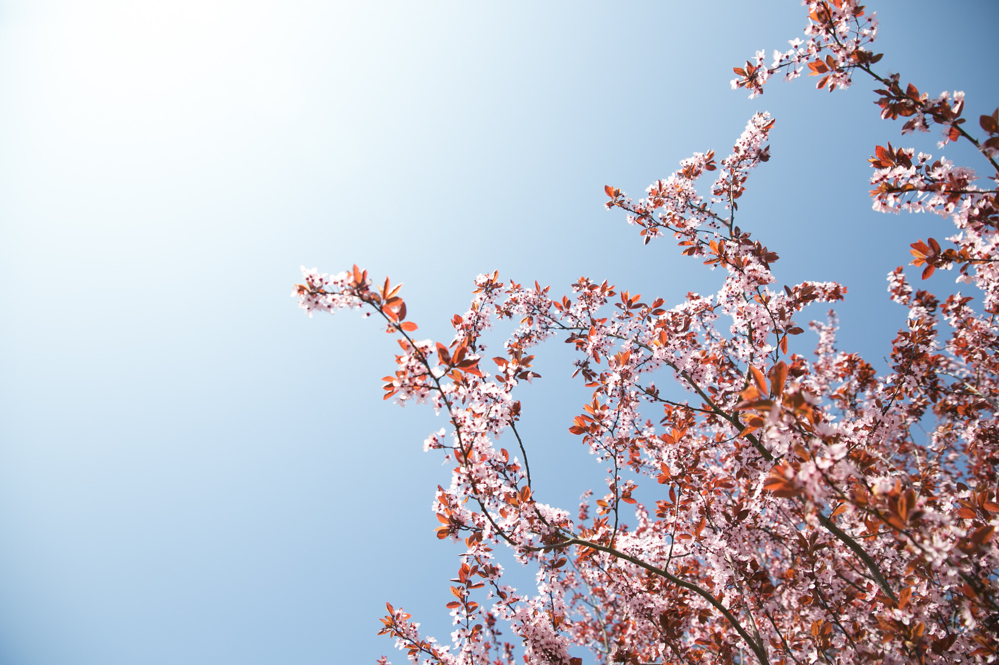 Wellnesshotel Seeschlößchen | Bild 101