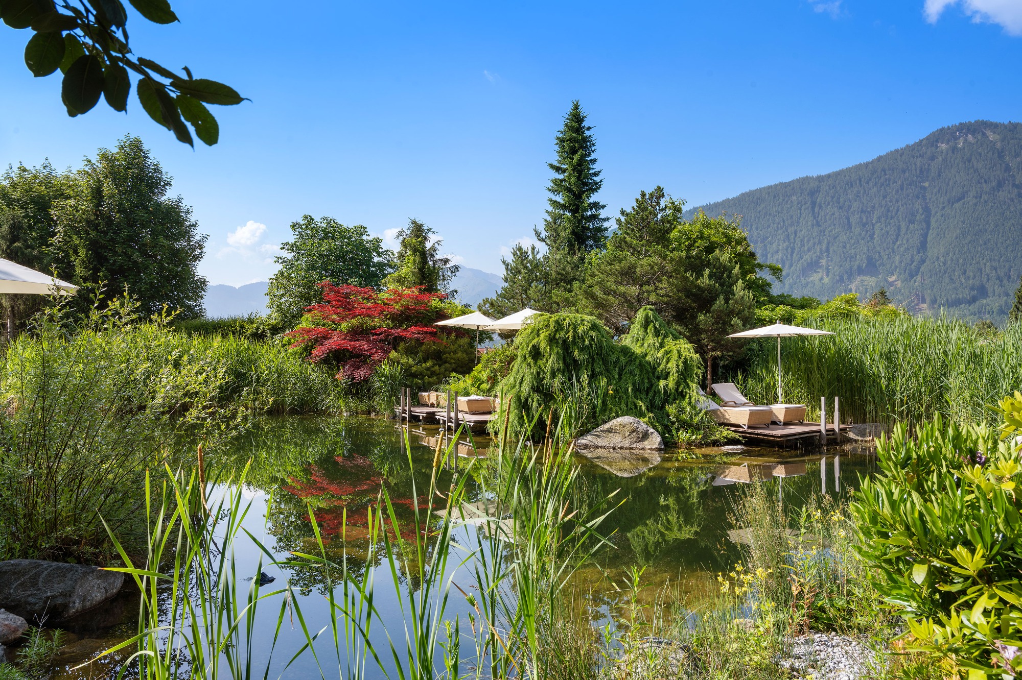 Wellnessresidenz Alpenrose | Bild 16