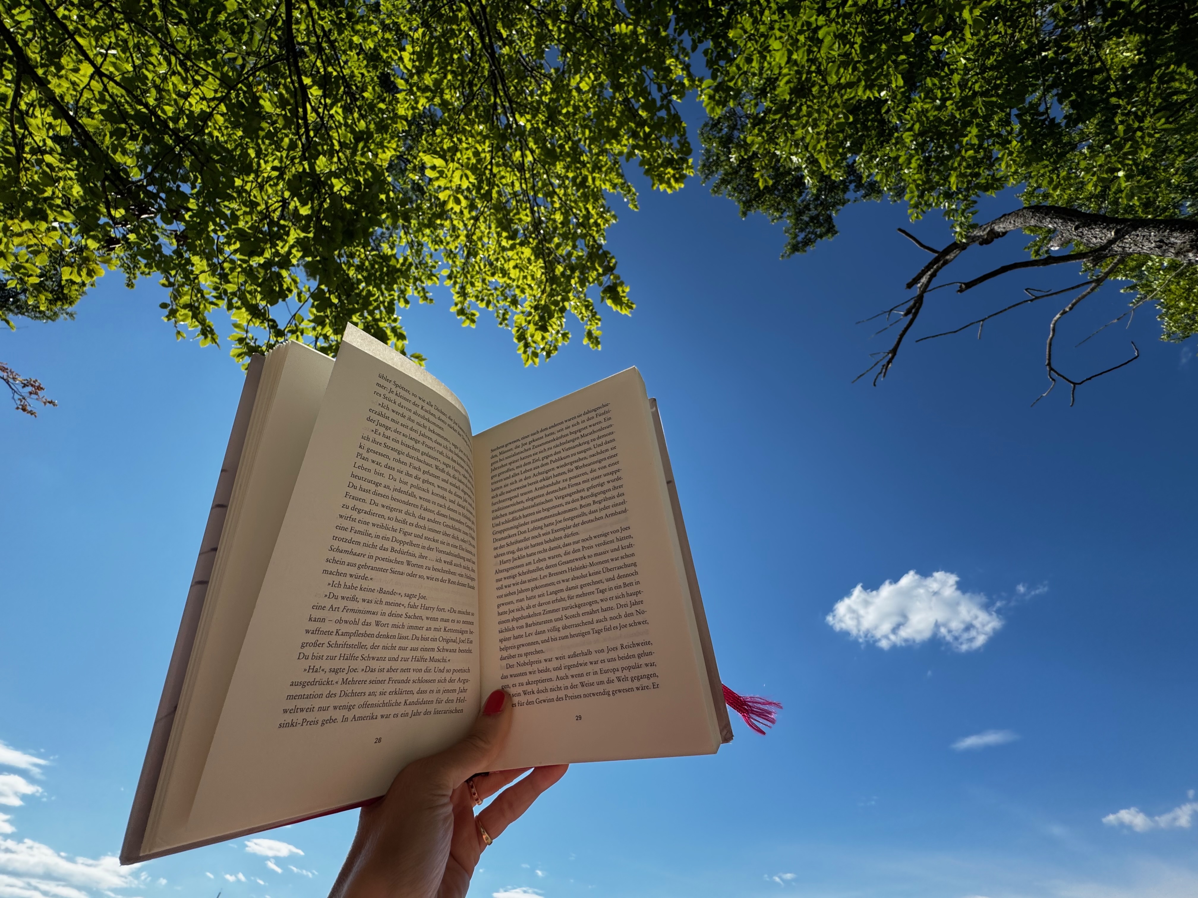 Mikroabenteuer statt Megatrip: Wie ein Tag daheim zur Erholungsoase wird